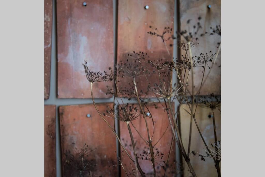 L'Etage Et Son Patio Lejlighed Ruelle-sur-Touvre Eksteriør billede
